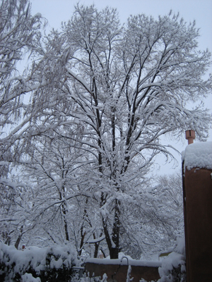 snow2.jpg