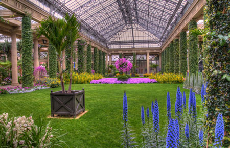 longwood