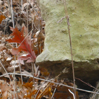 rockart