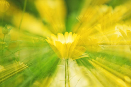 starburst