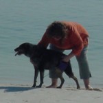 Going at the beach