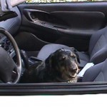 She's a good driver