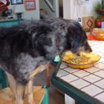 Lovely table manners