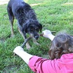 Tug of War