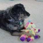 A lovely dolly