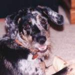 Her best puppy picture
