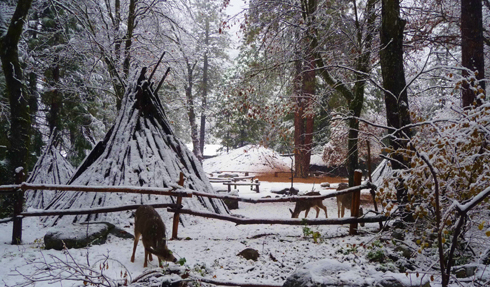 post_deer_inVillage